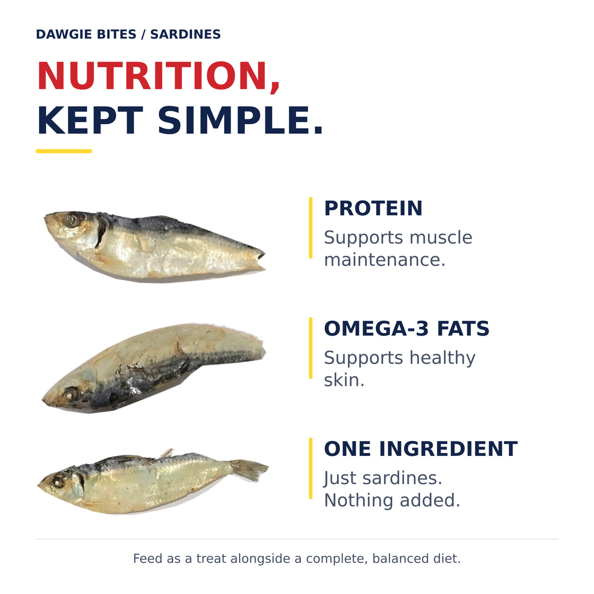Real sardine photographs on white with captions about protein for muscle maintenance, omega-3 fats for healthy skin and a single sardine ingredient